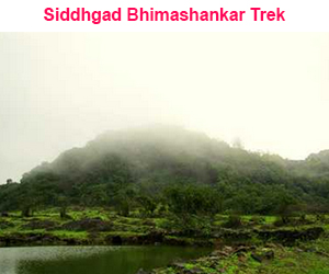 Siddhgad Bhimashankar Trek